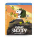 Camp Snoopy
