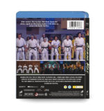 Cobra Kai: Seasons 1-6 (2018-2025) 6-Disc Set Blu-ray - Image 2