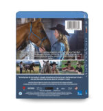 Heartland: Seasons 12-19 (2012-2025) 8-Disc Set Blu-ray - Image 2
